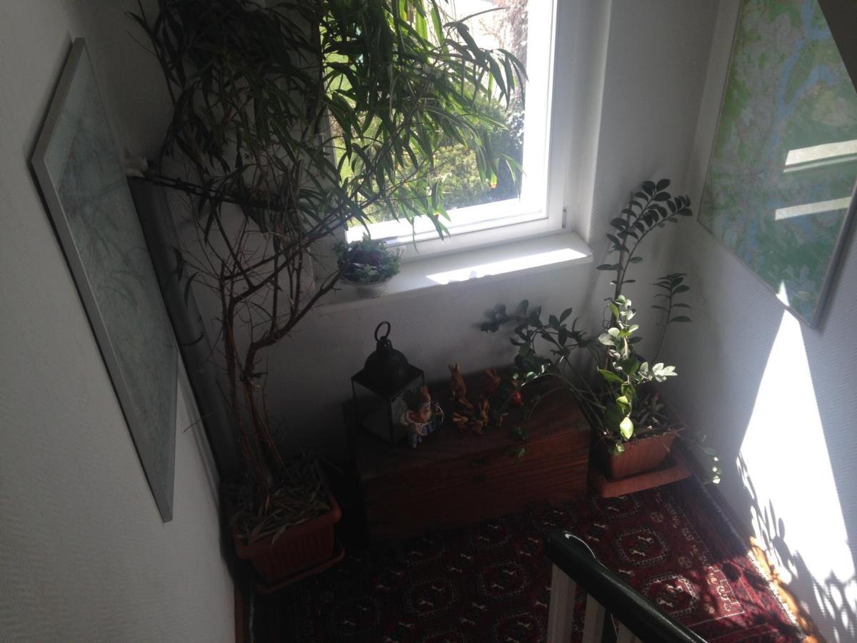 Ferienwohnung Heil - Кёнигс-Вустерхаузен Экстерьер фото